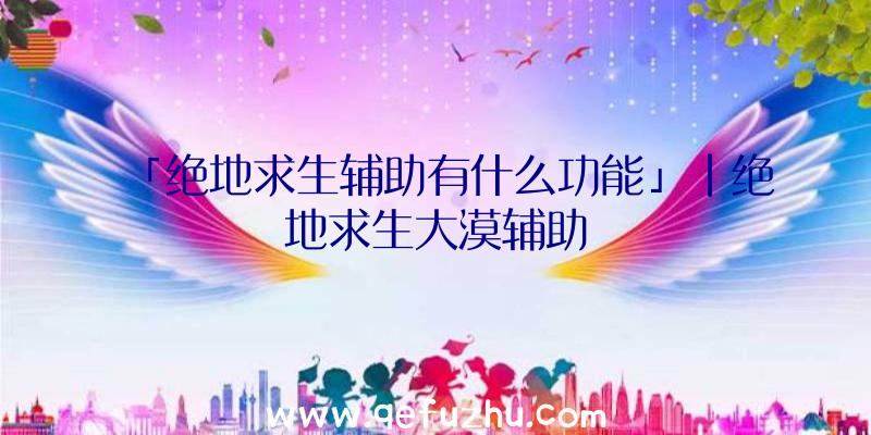 「绝地求生辅助有什么功能」|绝地求生大漠辅助